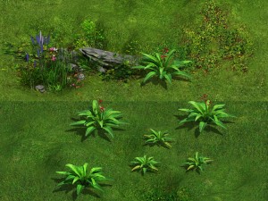 ferns 01 Model 3D