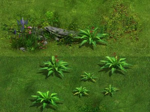 양치류 01 3D 모델