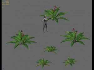 ferns 01 3D Model