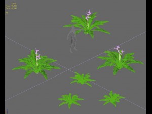 ferns 01 Model 3D