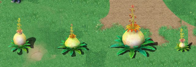 cartoon version flower belly flower 3D in 3DExport