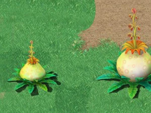cartoon version - flower belly flower 3D Model