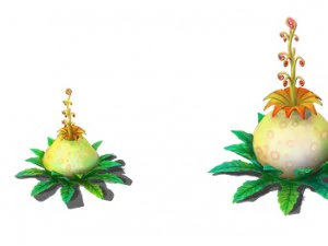 cartoon version - flower belly flower 3D Model