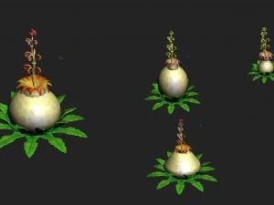 cartoon version - flower belly flower 3D Model