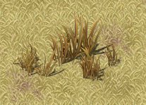 cartoon edition - wildland vegetation 3D Model .c4d .max .obj .3ds .fbx .stl .blend