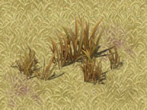 cartoon edition - wildland vegetation Model 3D