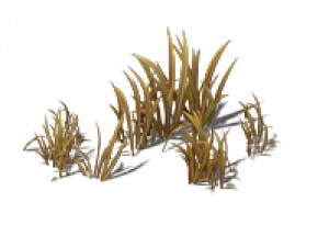 cartoon edition - wildland vegetation 3D Model