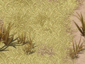 cartoon edition - wildland vegetation 3D Model