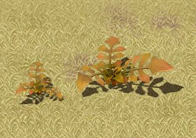 cartoon version - wasteland vegetation 3D Model .c4d .max .obj .3ds .fbx .stl .blend 