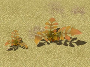 cartoon version - wasteland vegetation 3D Model