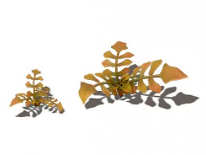 cartoon version - wasteland vegetation 3D Model