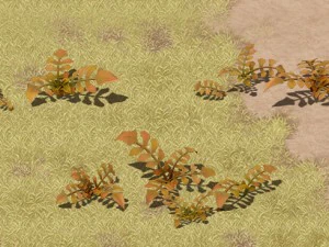 cartoon version - wasteland vegetation 3D Model