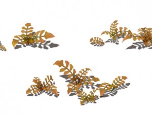 cartoon version - wasteland vegetation 3Dモデル