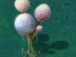 cartoon version - pompon spores 02 3D Model