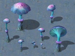 cartoon edition - ancient chi you mushrooms 3D 모델