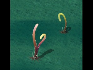 cartoon version - striped spore Modello 3D
