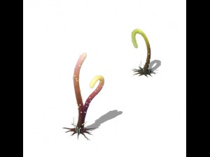 cartoon version - striped spore Modello 3D