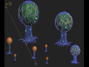 cartoon version - fine stripe spores 3D Model