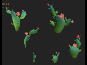 cartoon version - cactus 3D Model