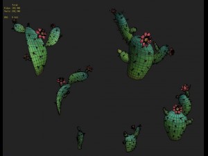 cartoon version - cactus 3D Model