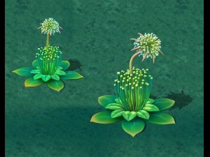 cartoon edition - fairy dandelion Model 3D