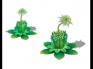 cartoon edition - fairy dandelion 3D Model
