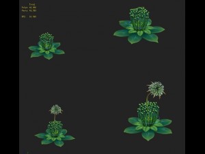 cartoon edition - fairy dandelion 3D Model