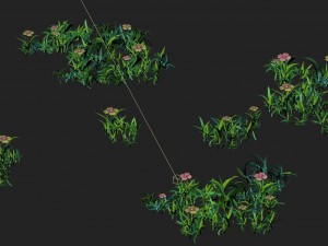 cartoon version - small wildflower surface 3D मॉडल