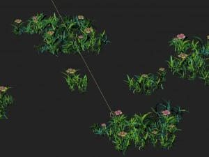cartoon version - small wildflower surface 3D Model