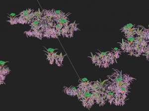 cartoon version - small wildflower surface 3D Model