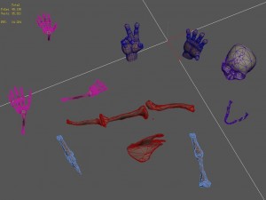cartoon version - swamp skull 3D 模型