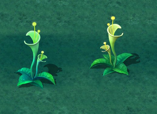 cartoon version - plant mysterious light 3D Model .c4d .max .obj .3ds .fbx .stl .blend 