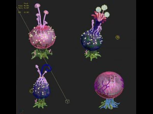 cartoon version - hollow transparent spores 3D Model