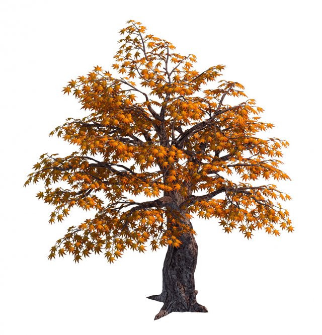 qixiashan - tree Model 3D .c4d .max .obj .3ds .fbx .stl .blend 