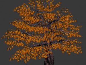 qixiashan - tree Model 3D