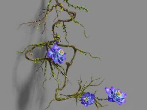strange - flower 1 3D Model