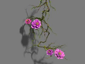 strange - flower 1 3D Model