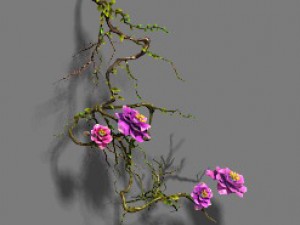strange - flower 1 3D-Modell