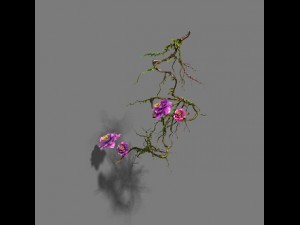 strange - flower 1 3D-Modell