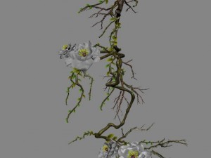 strange - flower 1 3D-Modell