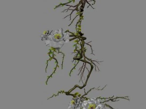 strange - flower 1 3D Model