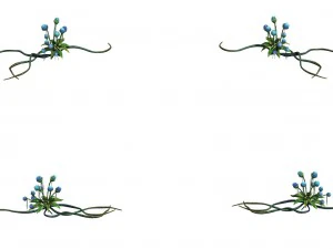 strange - flower 2 3D Model