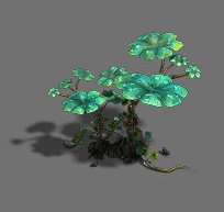exotic - flower 3 Model 3D .c4d .max .obj .3ds .fbx .stl .blend 