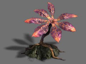 exotic - flower 3 Model 3D