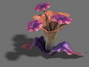 exotic - flower 3 Model 3D