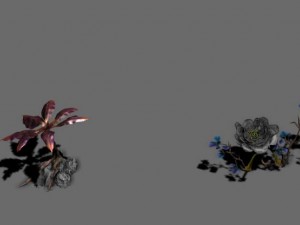 exotic - flower 3 Model 3D