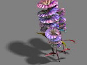 strange - flower 4 3D 模型