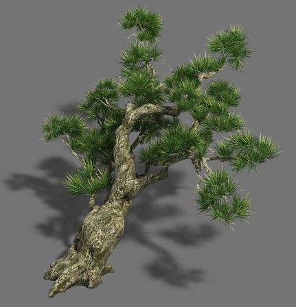 strange - pine 03 3D Model .c4d .max .obj .3ds .fbx .stl .blend 