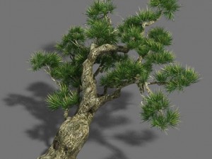 strange - pine 03 3Dモデル