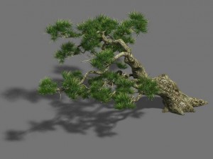 strange - pine 03 3D Model